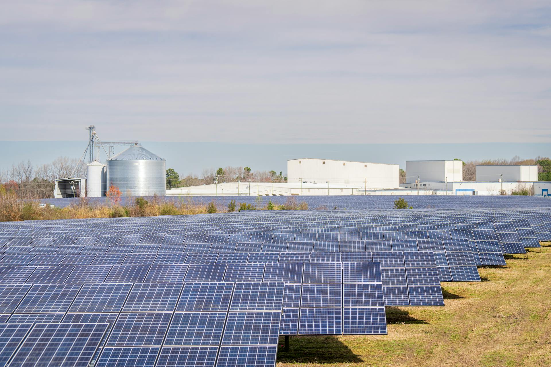 Utility Scale Plants
